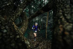 BIB: 
                            <button type="button" onclick="openModal(25677653)" class="btn btn-primary btn-sm float-right btn-popup" data-toggle="modal" data-target=".modal-high-quality">
                        <i class="fas fa-shopping-cart"></i> Add to Cart
                    </button>
                                            <button type="button" onclick="isThisMe(25677653, true)" class="btn btn-success btn-sm float-right btn-popup btn-isme hidden" data-toggle="tooltip" data-placement="bottom" title="นี่คือรูปของคุณใช่ไหม คลิกที่นี่เพื่อเอาเข้าอัลบั้ม">
                        <i class="fas fa-plus"></i> Add to album
                    </button>
                    <button type="button" onclick="isThisMe(25677653, false)" class="btn btn-warning btn-sm float-right btn-popup btn-isnotme hidden">
                        <i class="fas fa-ban"></i> Remove from album
                    </button>